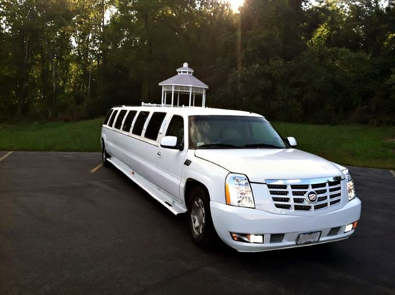 Los Angeles 15 Passenger Limo